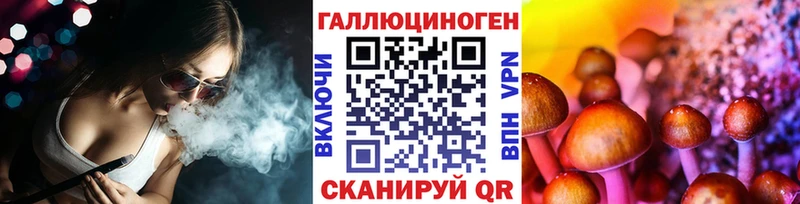 Псилоцибиновые грибы Psilocybe Мышкин